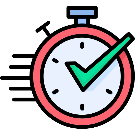 Fast Project Delivery Promise